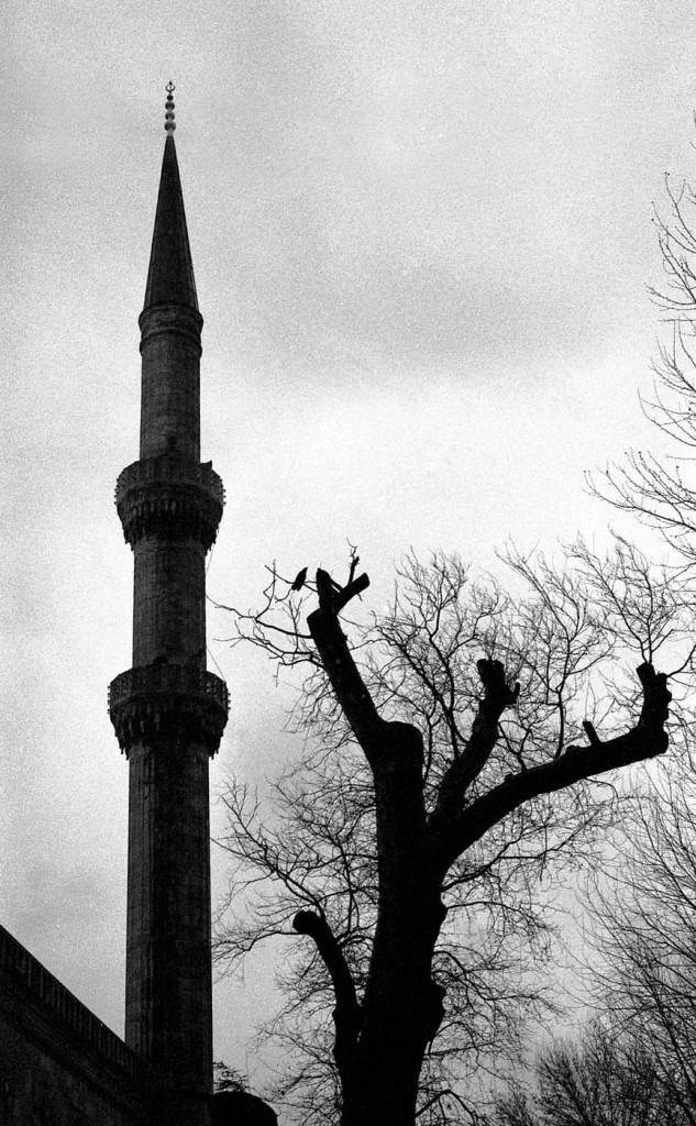 istan026