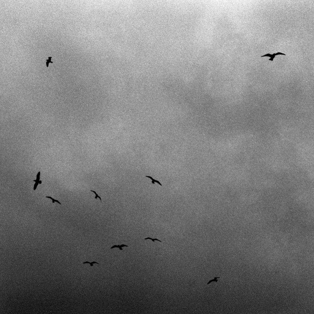 istan_kodak008
