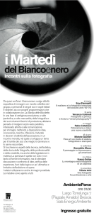 shapeimage_4