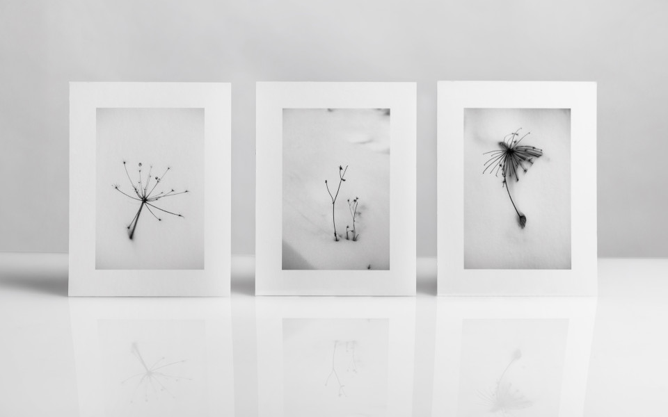 marks on winter I