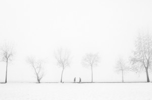 Nero su Bianco, 2015